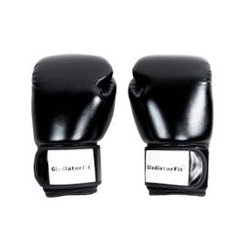 gants boxe sdi training