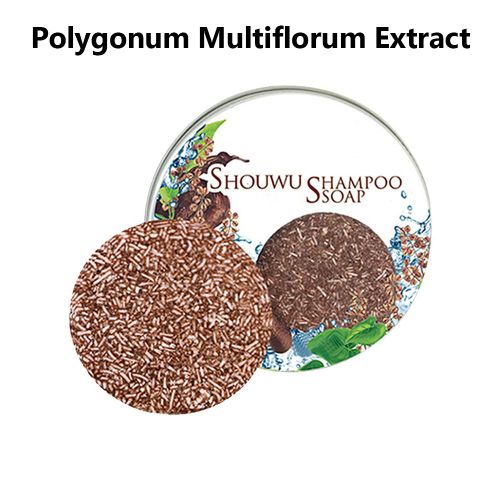 Extrait De Plante Naturelle, Shampoing Assombrissant Pour Cheveux, Savon En Barre, Organique, Formule Douce Pour Cheveux, Réparation, Outils De Soins Capillaires 