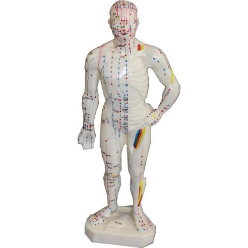 Modèle D'acupuncture De Méridiens De Médecine Chinoise, Modèle De Moxibustion, Point D'acupuncture, Modèle De Mannequin D'acupuncture, 26cm 