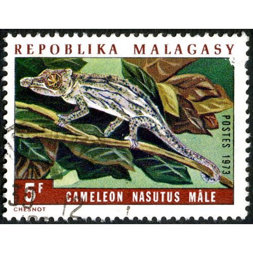 Timbre Oblitéré Repoblika Malagasy, Cameleon Nasutus Mâle, Postes 1973, 5 F