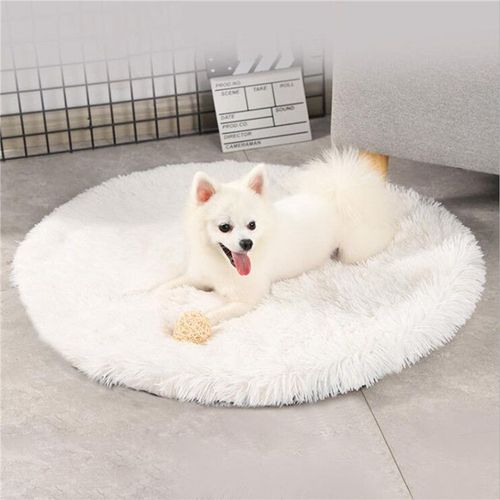 Tapis De Lit Rond En Peluche Pour Chien Et Chat, Long, Couverture De Lit, Couette, Coussin Chaud, Pour La Maison, Pour Petits, Moyens Et Grands Félins