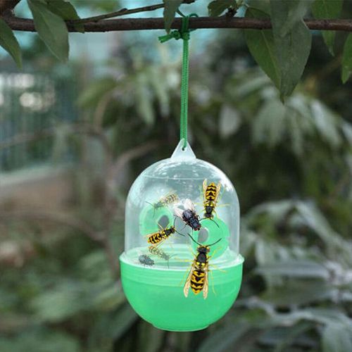 Piège À Guêpes, Mouches, Insectes, Piège À Suspendre, Fournitures D'insectes, Outils D'équipement Pour Abeilles