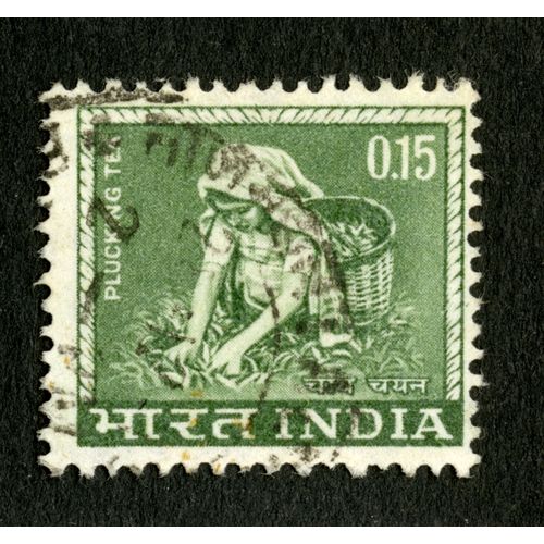 Timbre Oblitéré Plucking Tea,India,0,15