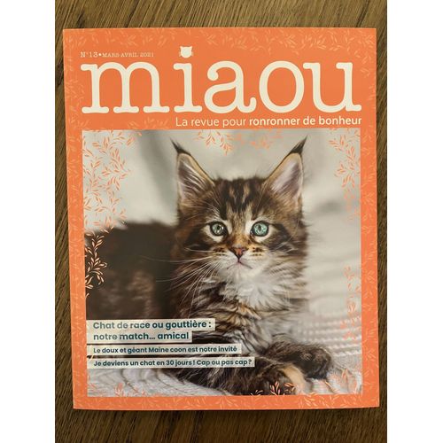 Miaou N°13
