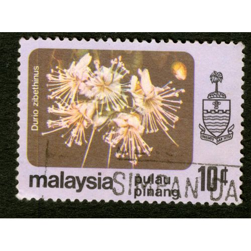Timbre Oblitéré Malaysia,Durio Ziberthinus,Pulau Pinang,10c