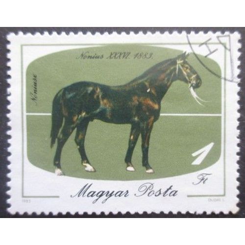Hongrie N°2988 Cheval Oblitéré