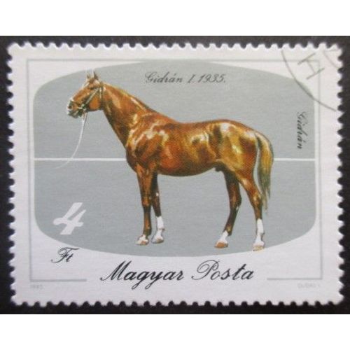 Hongrie N°2990 Cheval Oblitéré