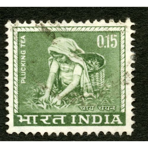Timbre Oblitéré India,Plucking Tea,0,15