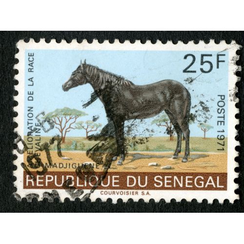 Timbre Oblitéré République Du Sénégal,Amélioration De La Race Chevaline,Madjiguene,Poste 1971,25 F