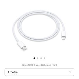 Cable USB-C vers lightning (1m)
