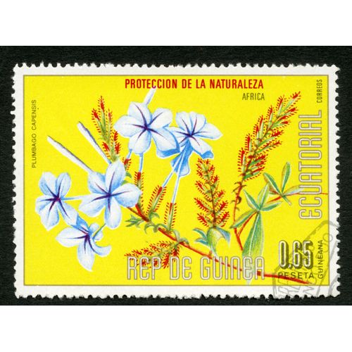 Timbre Oblitéré Rep De Guinea Ecuatorial,Proteccion De La Naturaleza Africa,Plumbago Capensis,Correos,0,65 Peseta