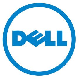 Dell - DDR5 - module - 16 Go - DIMM 288 broches - 2400 MHz / PC5-38400 - mémoire sans tampon - Mise à niveau