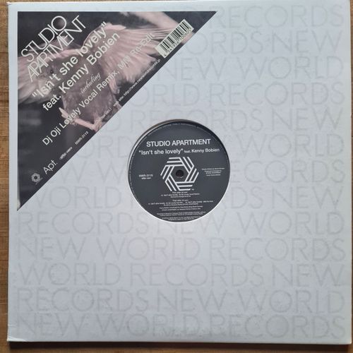 Isn't She Lovely [12inch] [Ltd