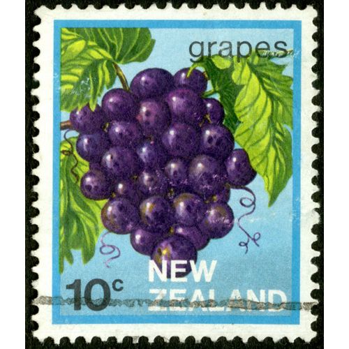 Timbre Oblitéré New Zealand, Grapes, 10 C