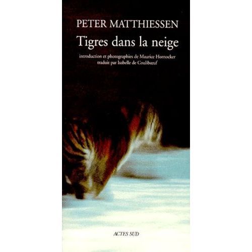 Tigres Dans La Neige