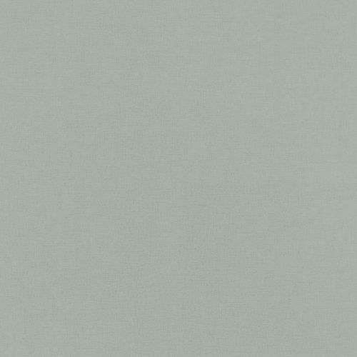 Rasch Club Botanique + Claas II | 537901 | papier peint intissé uni | 0.53 m x 10.05 m | gris