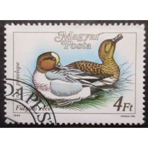 Hongrie N°3174 Canards Oblitéré