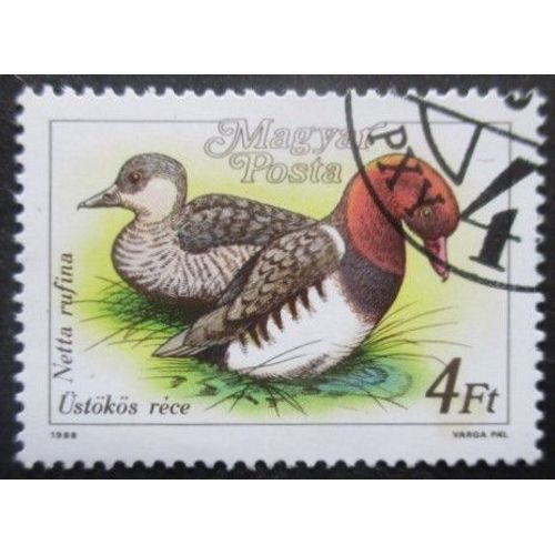 Hongrie N°3175 Canards Oblitéré