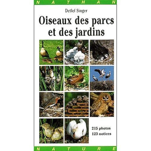 Oiseaux Des Parcs Et Des Jardins