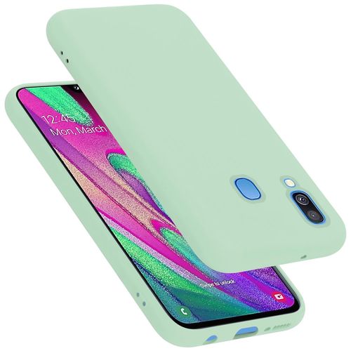 Cadorabo Housse Compatible Avec Samsung Galaxy A40 En Liquid Light Green - Étui De Protection En Silicone Tpu Flexible