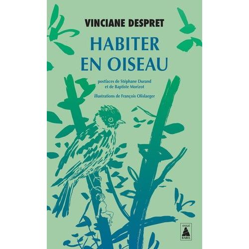 Habiter En Oiseau
