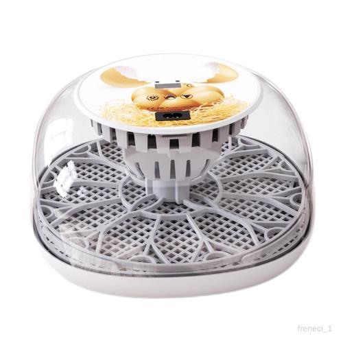 freneci Mini incubateur d'oeufs plateau de retourneur d'oeufs transparent oeufs à poussin incubateur cadeau oeuf éclosoir pour oeufs de oiseaux ferme canard