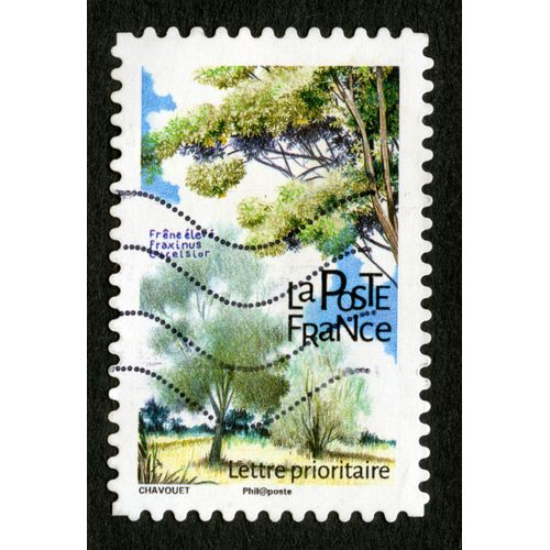Timbre Oblitéré Frêne Élevé,Fraxinus Excelsior,La Poste,France,Chavouet,Lettre Prioritaire