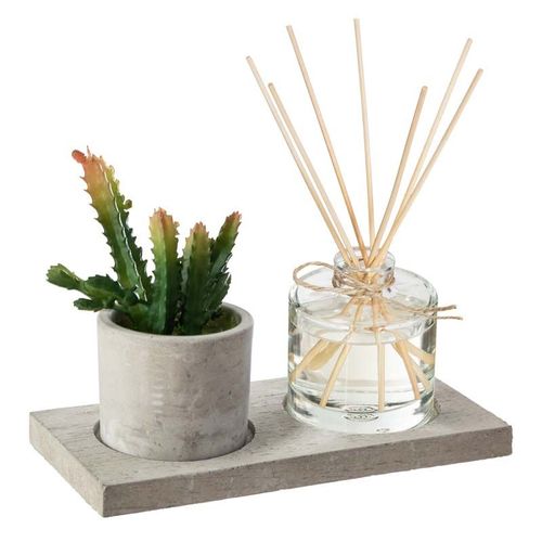 Coffret Senteur 4 pcs Plante avec Diffuseur - Cactus