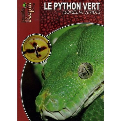 Le Python Vert Arboricole - Morelia Viridis