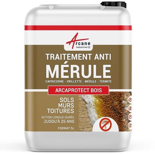 Traitement mérule produit extérieur intérieur 5 L