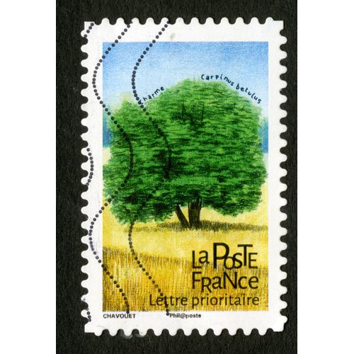 Timbre Oblitéré Charme,Carpinus Betulus,La Poste,France,Lettre Prioritaire,Chavouet