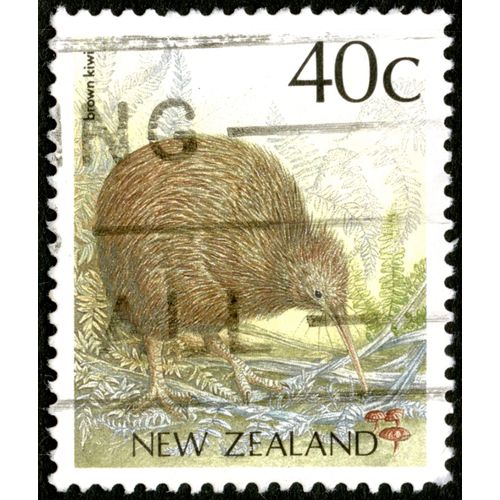 Timbre Oblitéré New Zealand, Brown Kiwi, 40 C