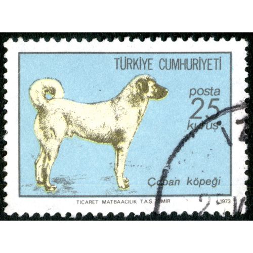 Timbre Coban Kopegi Turkiye Cumhuriyeti Posta 25 Kurus.1973.