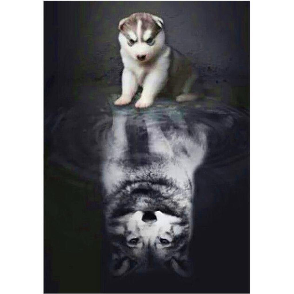 Reflection For Cat Diy 5d Full Drill Diamond Paint Square Embroidery For Cross S