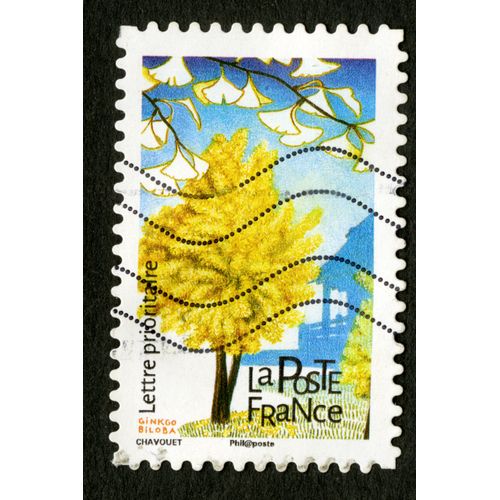 Timbre Oblitéré Ginkgo Biloba,Lettre Prioritaire,La Poste,France
