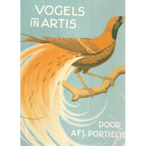 Anton Frederik Johan Porttielje