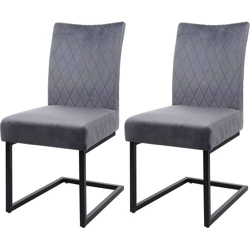 Ensemble De 2 Chaises De Salle À Manger Chaise Visiteur En Acier Design Moderne Velours Thermolaqué Gris Cds04488