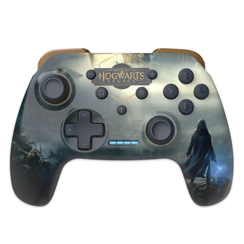 Manette- Hogwarts Legacy - Paysage