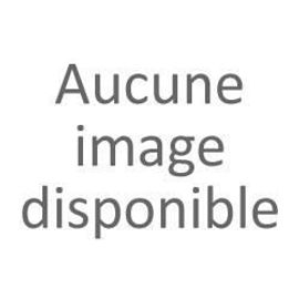 Chaudiere twineo egc 25vv/v100