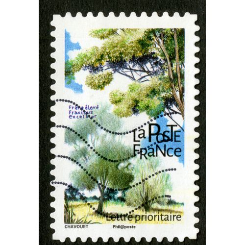 Timbre Oblitéré Frêne Élevé,Fraxinus Excelsior,La Poste,France,Lettre Prioritaire,Chavouet