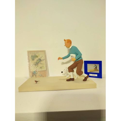 Tintin et le rouge gorge