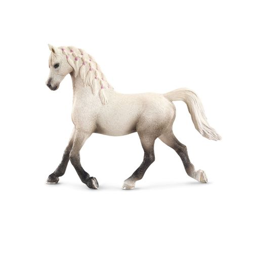 Horse Club Jument Arabe