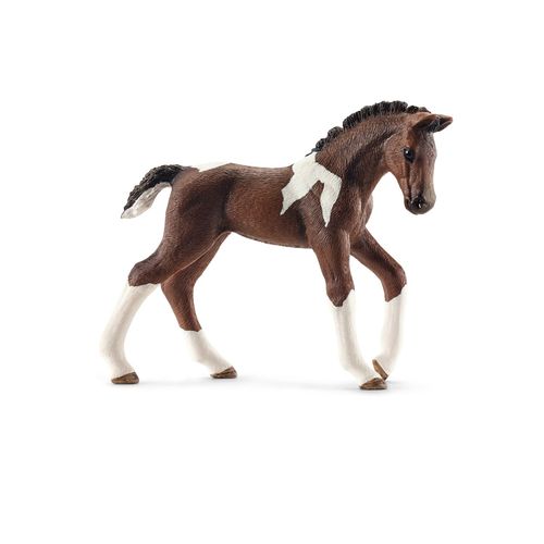 Horse Club Poulain Trakehnen