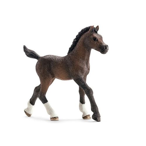 Horse Club Poulain Arabe