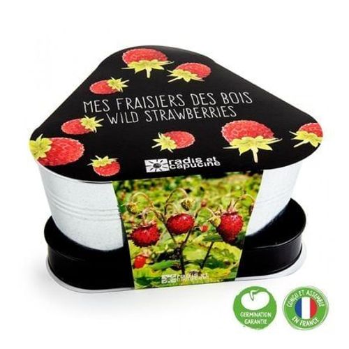 Plateau Trio Pots Zinc - Fraisier Des Bois - Taille Unique
