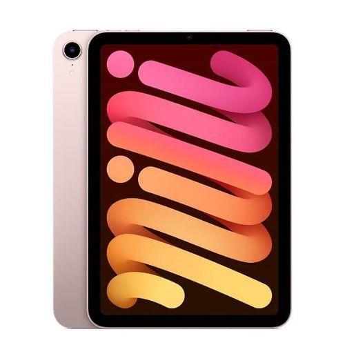 Apple iPad Mini 2021 64GB WiFi Gris Espacial