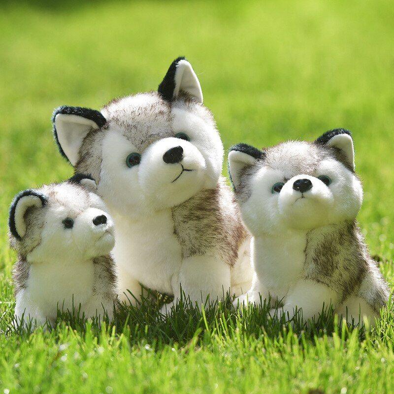 20/24/30 Cm Mignon Husky Chien En Peluche Loup Animaux En Pe...