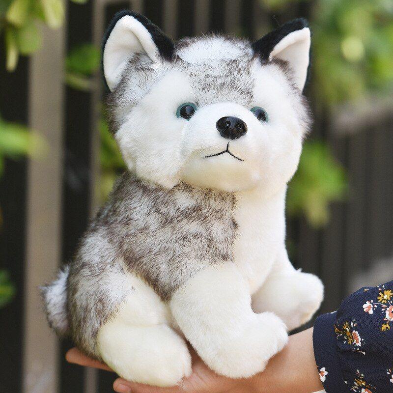 20/24/30 Cm Mignon Husky Chien En Peluche Loup Animaux En Pe... - 2