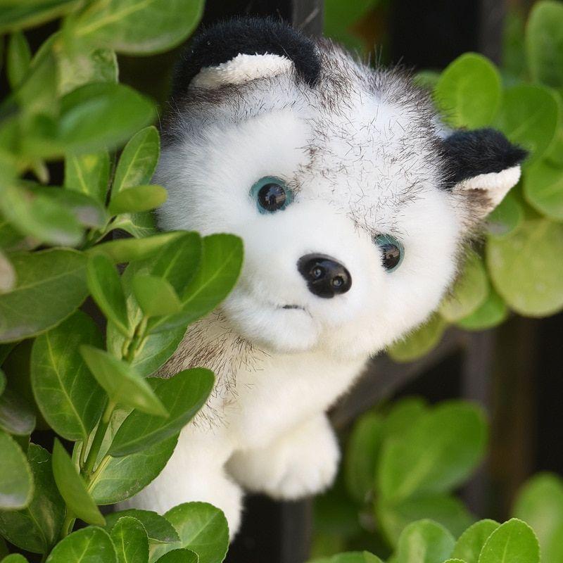 20/24/30 Cm Mignon Husky Chien En Peluche Loup Animaux En Pe... - 3