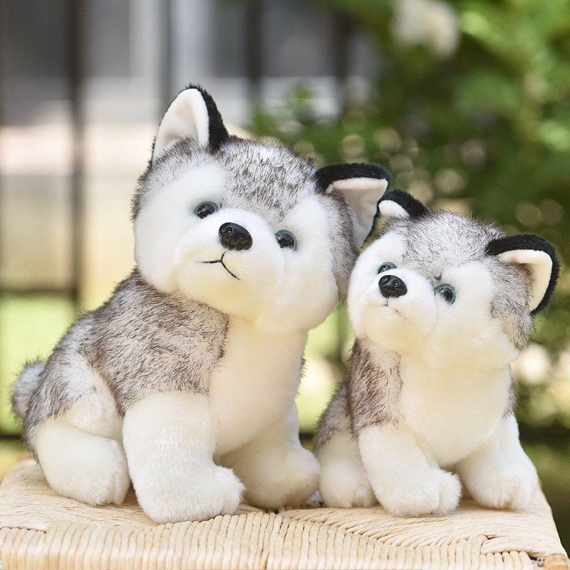 20/24/30 Cm Mignon Husky Chien En Peluche Loup Animaux En Pe... - 4